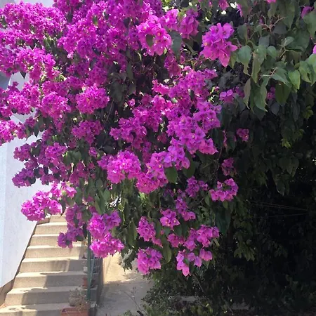 New House Few Steps From The Sea And